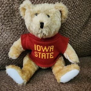 Iowa State Stuffed Bear with Red Sweater